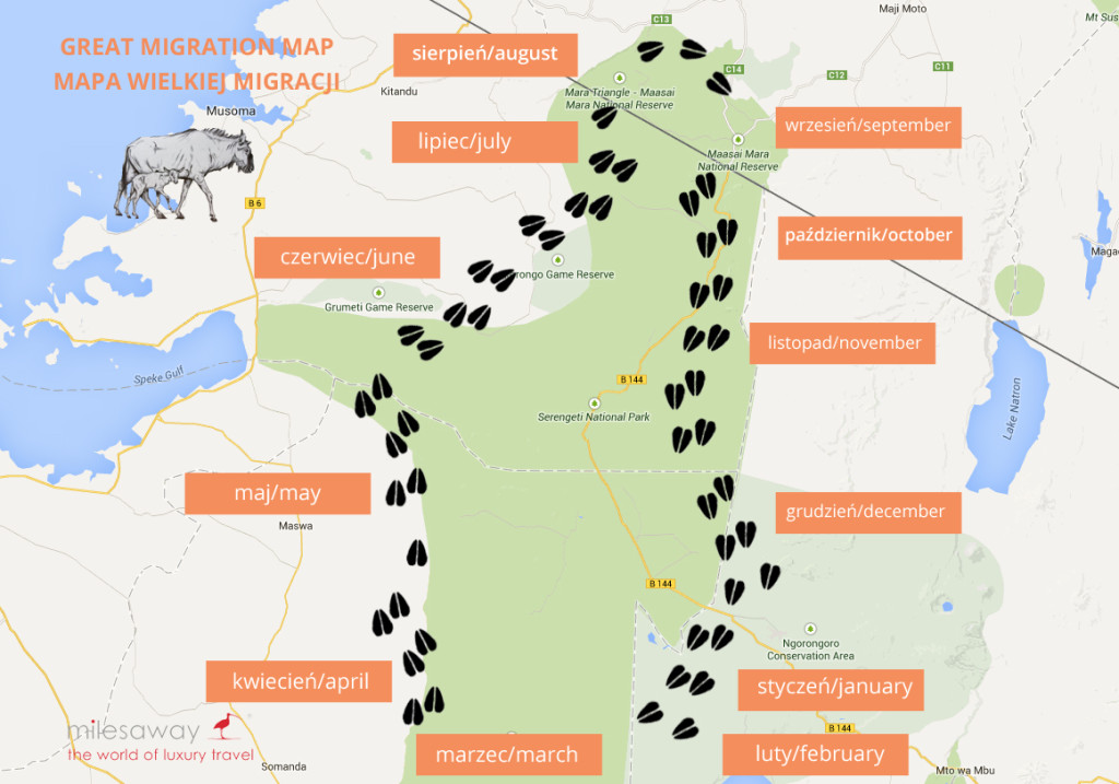 GreatMigration_map