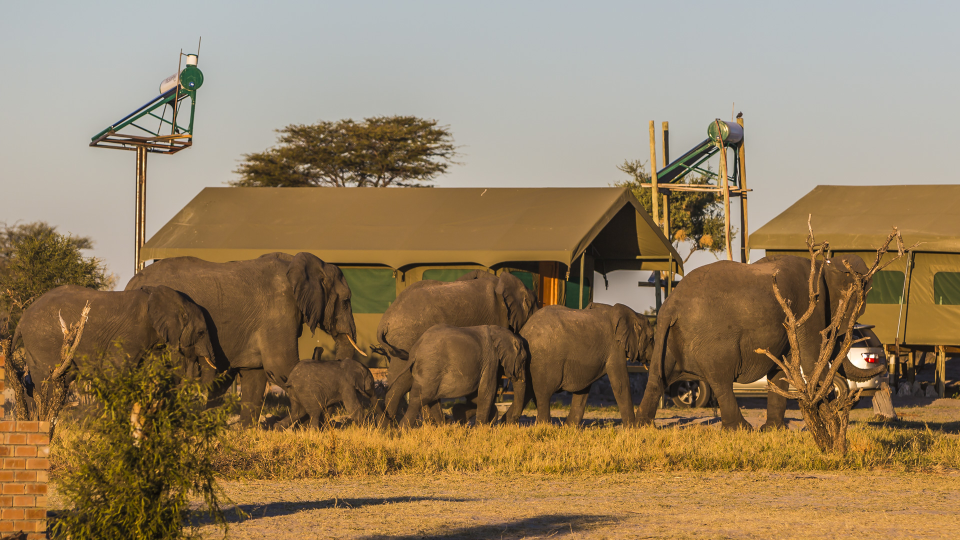 Elephant Camp Botswana