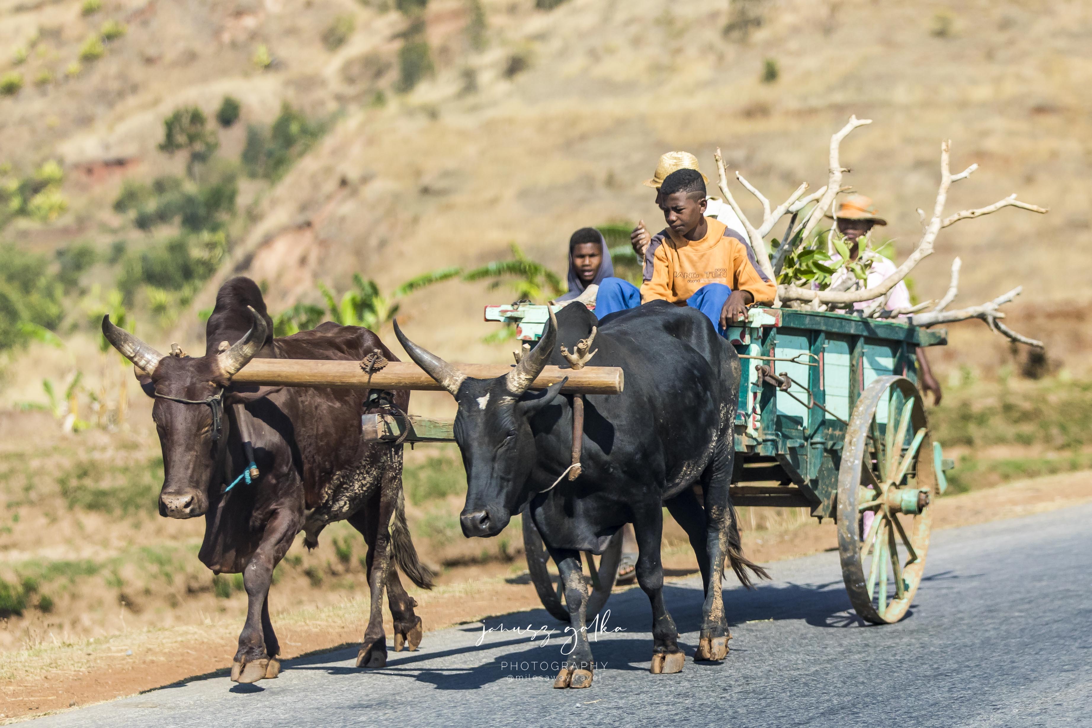 Transport na Madagaskarze