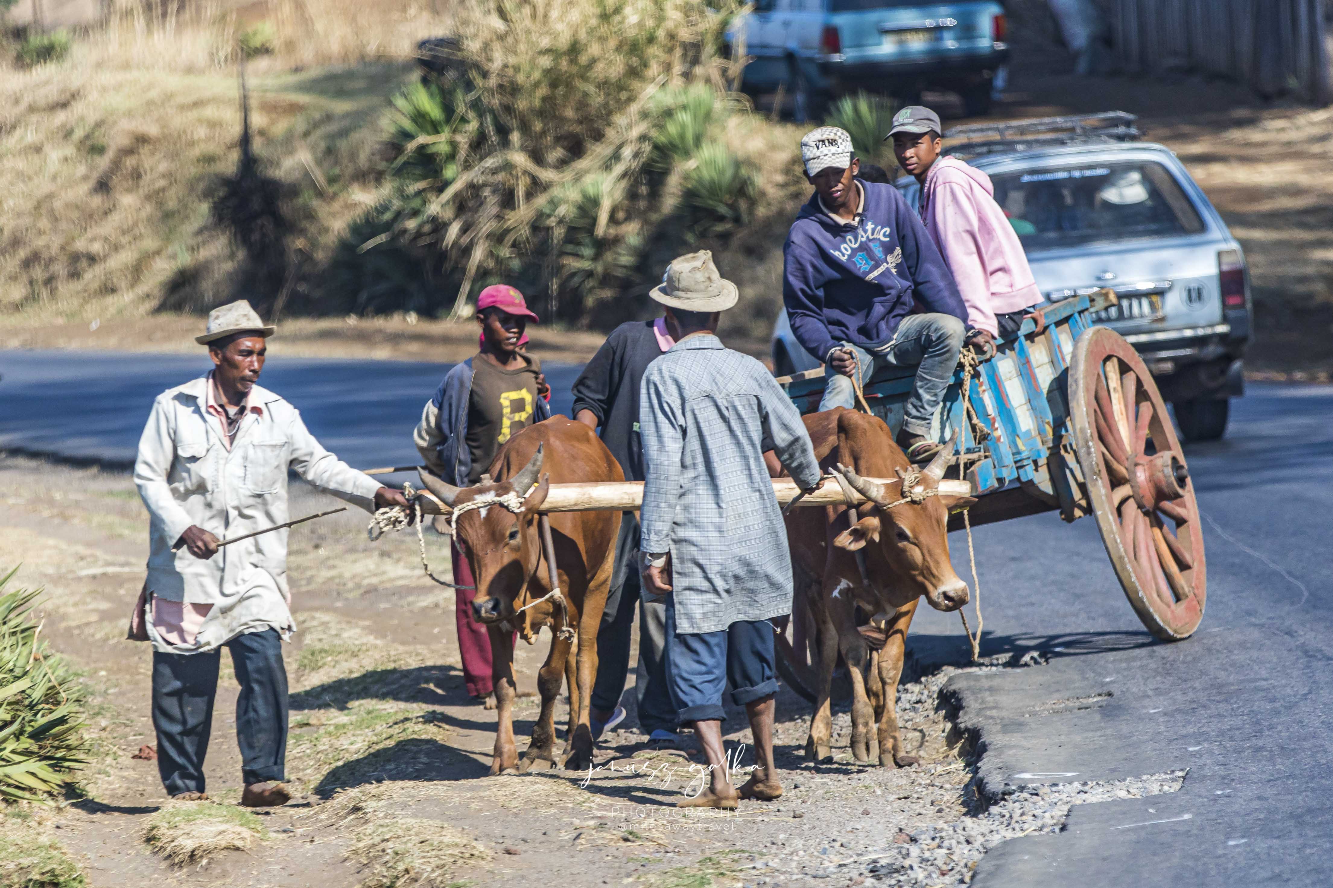 Droga z Antananarivo do Morondava, Madagaskar