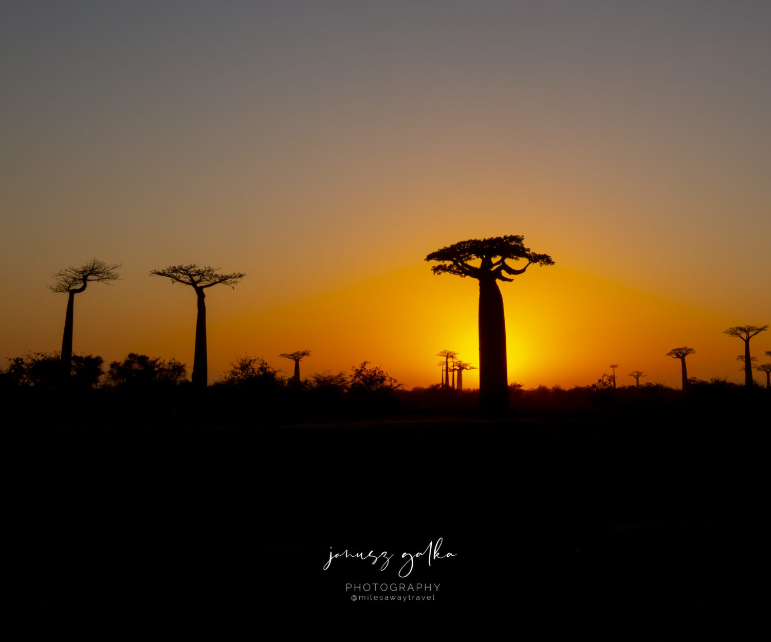 Aleja Baobabów, Madagaksar