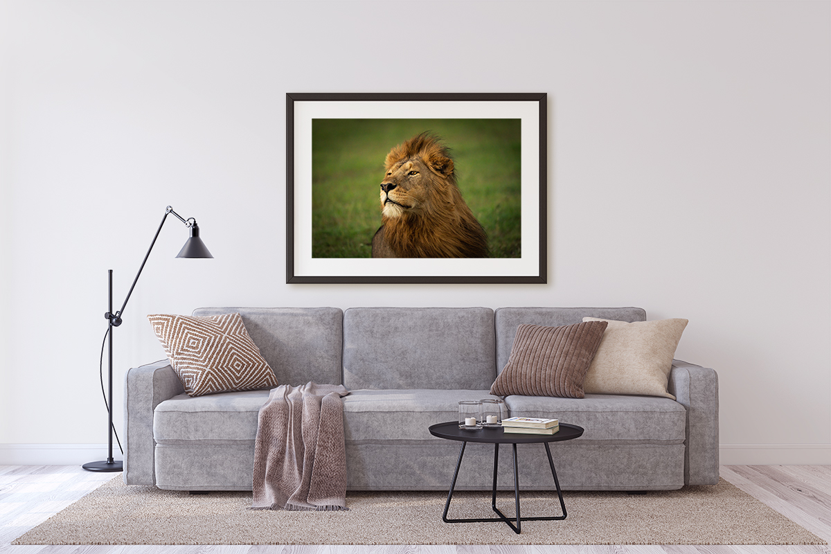 Janusz Galka zdjęcia