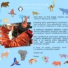 Szybkonoga Beana - eBook Magdalena Gałka - opowieść o psach rasy syberian husky